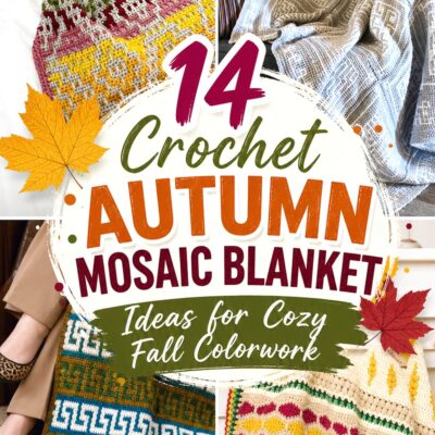 Crochet Autumn Mosaic Blanket Ideas for Cozy Fall Colorwork