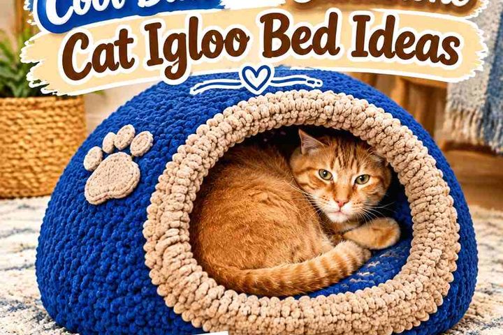 Crochet Cool Blue and Sandstone Cat Igloo Bed Ideas