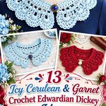 Icy Cerulean & Garnet Crochet Edwardian Dickey Ideas