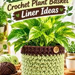 15 Wasabi & Espresso Crochet Plant Basket Liner Ideas